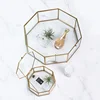 copper hexagon Clear glass storage box terrarium small Polygonal geometric gold metal glass ring jewelry trinket box silvery