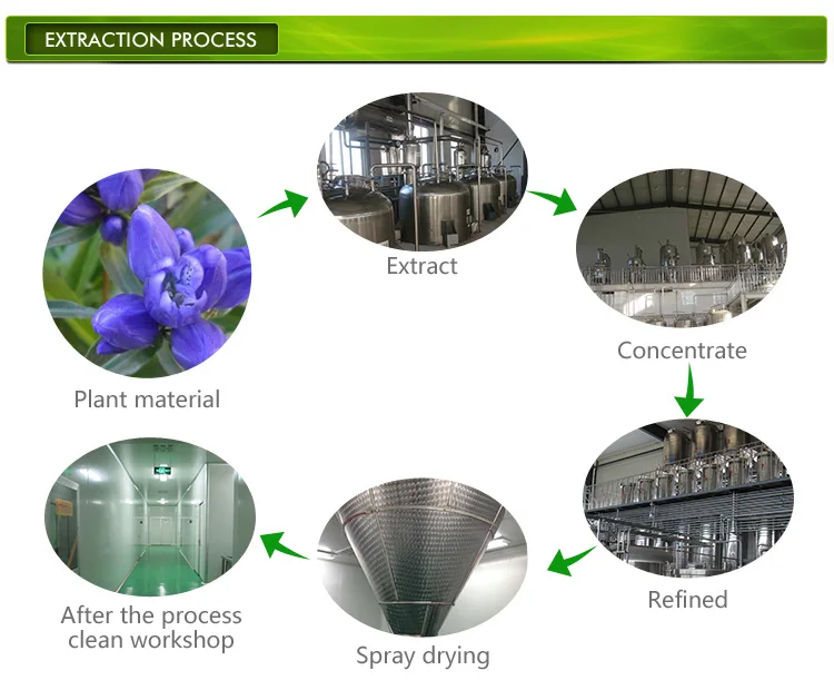 Extraction and processing. Plant extraction. plant extraction перевод. plant extraction images.