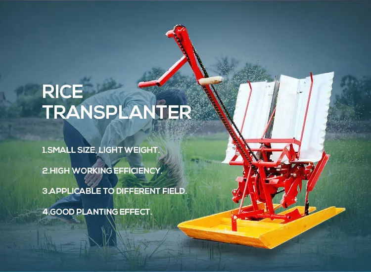 paddy rice transplanter.jpg