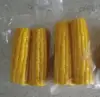 Top quality Vacuum pack sweet corn on the cob in pouches