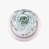Florist supplies Heart shape preserved roses in mini glass dome for home decor