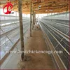 Factory layer and broiler feeding project chicken farm layer cages for sale in zimbabwe