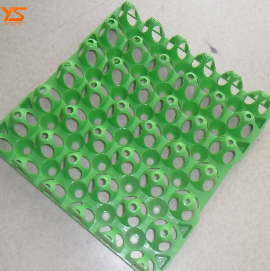 
Wholesale 30 Cells Plastic Eco-Friendly Egg Tray 