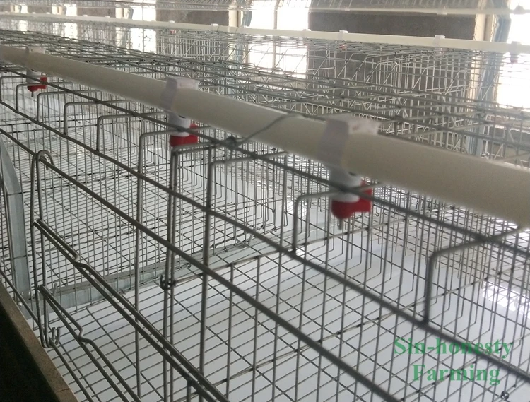 H type chicken cage1.jpg