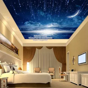 Blue Sky Ceiling Blue Sky Ceiling Suppliers And