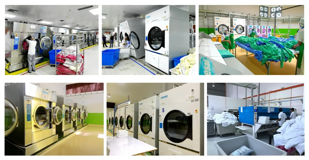 Gamesail Laundry Plants-1_