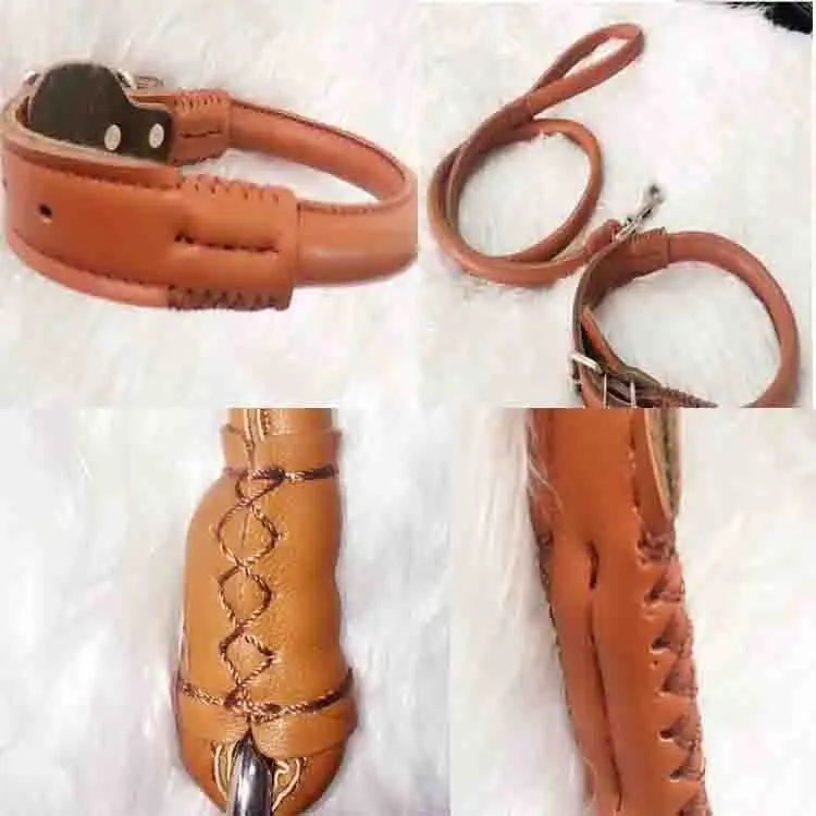 

dog leads and collars