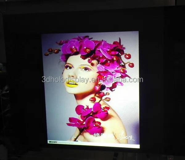 

South Korea Vikuiti Film/HD Black Rear Projection Screen Film/Foil Display on Glass for Advertising