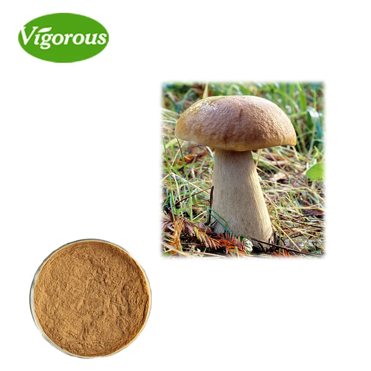Boletus edulis extract.jpg