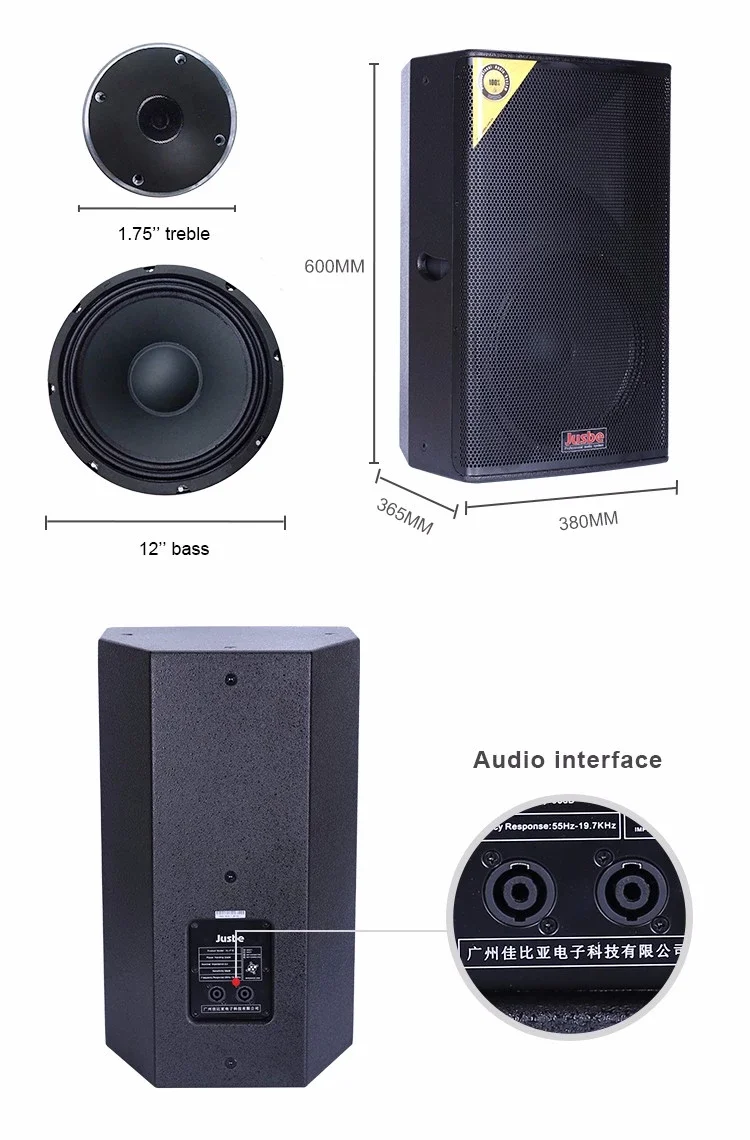ahuja 12 inch speaker price