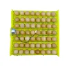 Newest model egg tray for quail eggs Multi-function egg tray