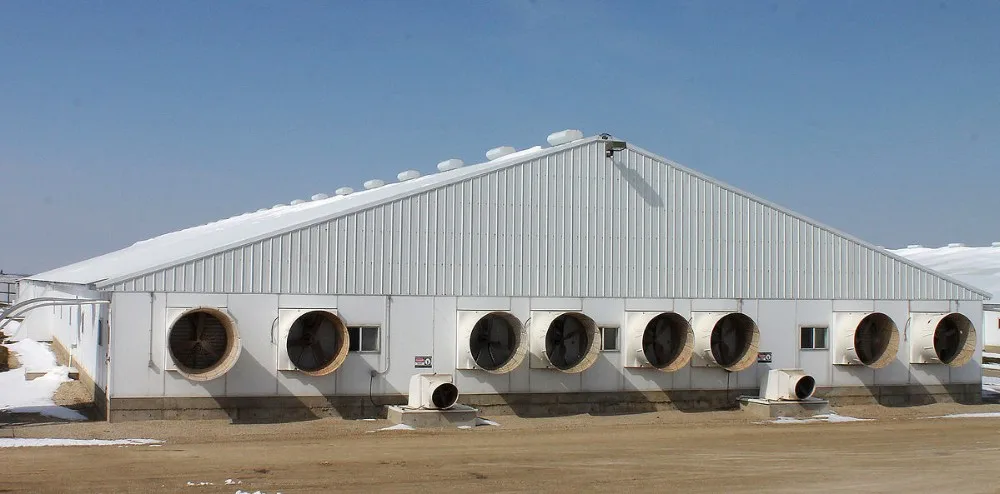 Axial Flow Fan, 220 V, 45000㎡ - detail 6