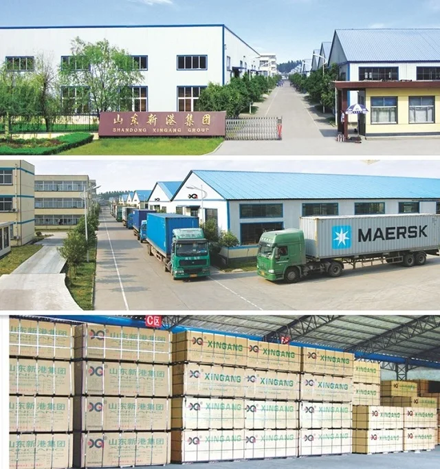 Company Information.jpg