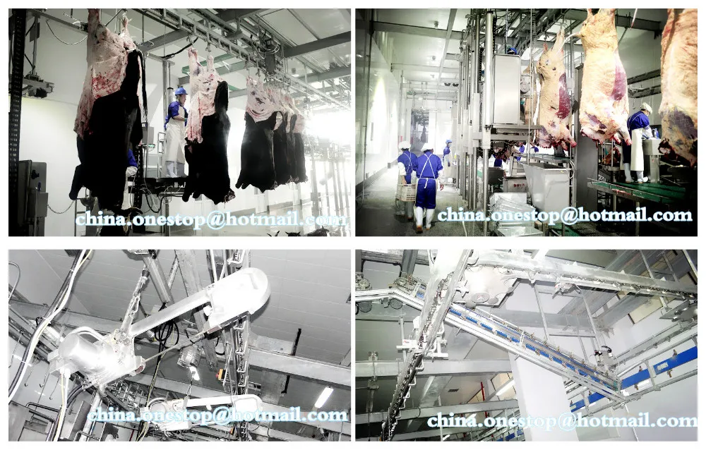 1,200 live sheep per shift, goat best-selling slaughterhouse stainless steel slaughtering equipment production line per hour
