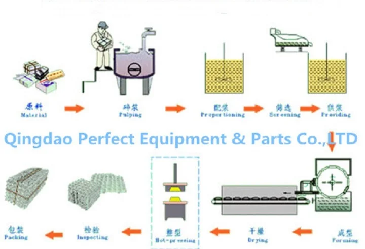 pulp tray production line.jpg