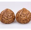 Indoor decorative craft artificial Walnuts/restaurant decoration fake walnuts/photography props artificial walnut
