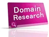 Domain name research