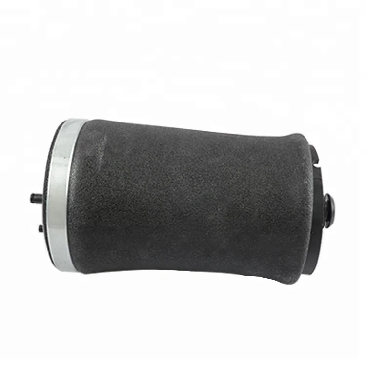 BMW E53 rear air bag.jpg
