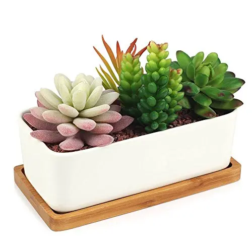 

Decorative Garden White Ceramic Succulent Planter Ceramic Cactus Flower Pot Plant Pot with Bamboo Tray (Rectangular), White,any pms colour is accepted