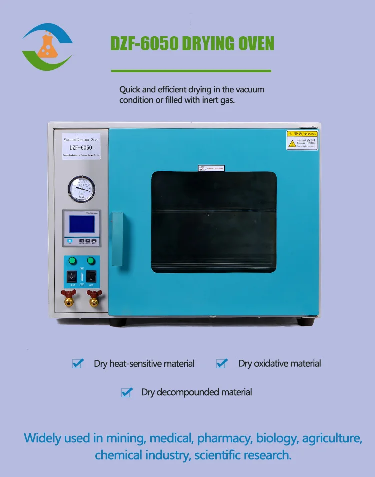 Dried Fruit Laboratory Vacuum Drying Oven DZF6050
