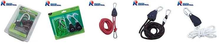 2 inch 5 ton Cargo Control Ratchet Tie Down Transport Straps Cargo Lashing Belt Strap with Goose Hook supplier