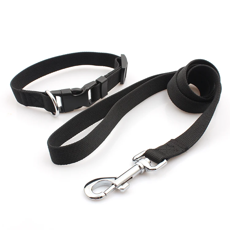 Askpet Wholesale Printing Personalized Nylon bing Dog Collars And