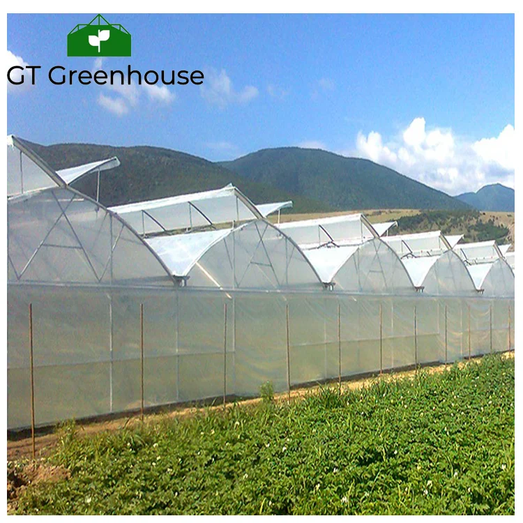 low cost greenhouse.png