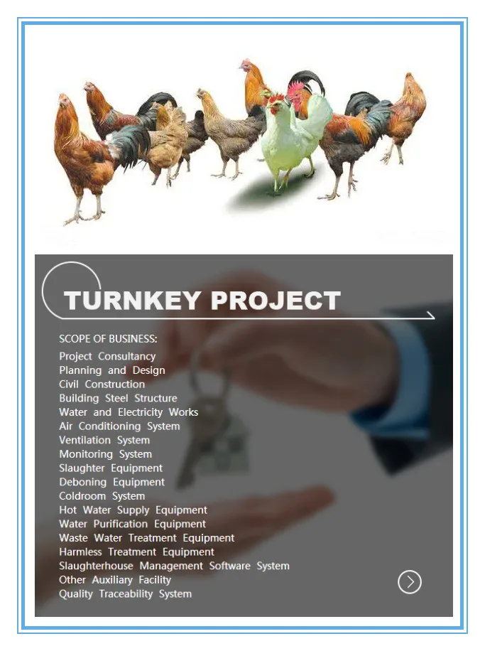 Poultry processing plant electric chicken stunner poultry slaughtering plant
