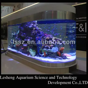 large acrylic fish tank