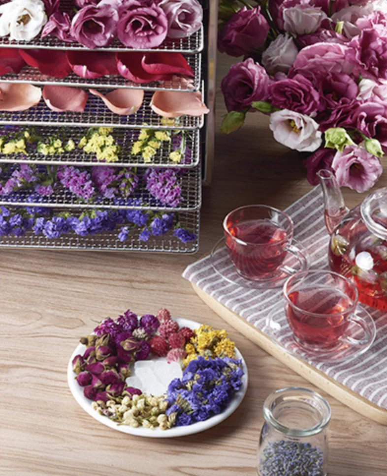 Healthy Sausage Dehydrator Sausage Drying Machine With 10 Stainless