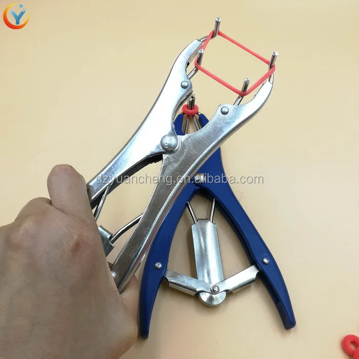 Good Qualities Elastrator Rubber Rings Banding Castration Buy