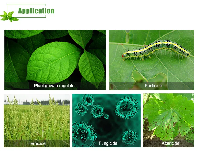 Good Reputation High Quality QS-307 Silicone oil Organic agricultural adjuvants