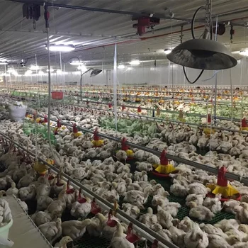 Business plan for buying a farm