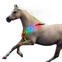 

2019 factory wholesale high bright led horse harness