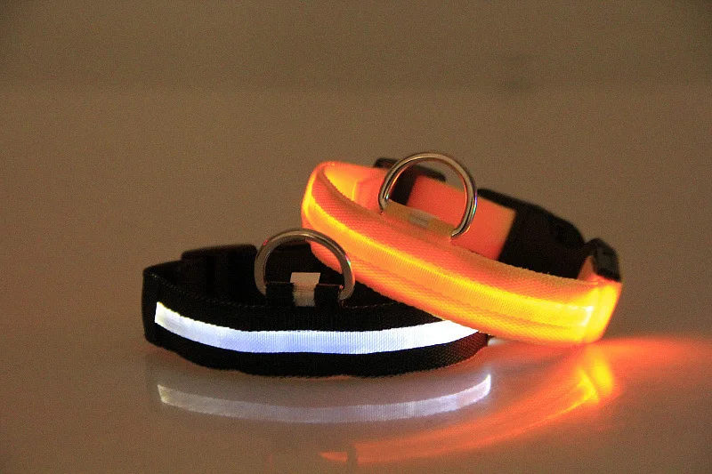 Dog Collar Custom (5).jpg