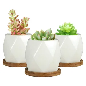 Image of Home Garden 4 inch White Ceramic Succulent Modern Flower Planters With Bamboo Tray Indoor or Outdoor Set of 3