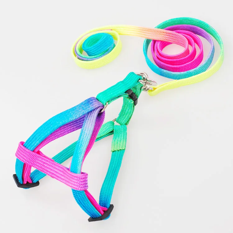 rainbow rope dog leash