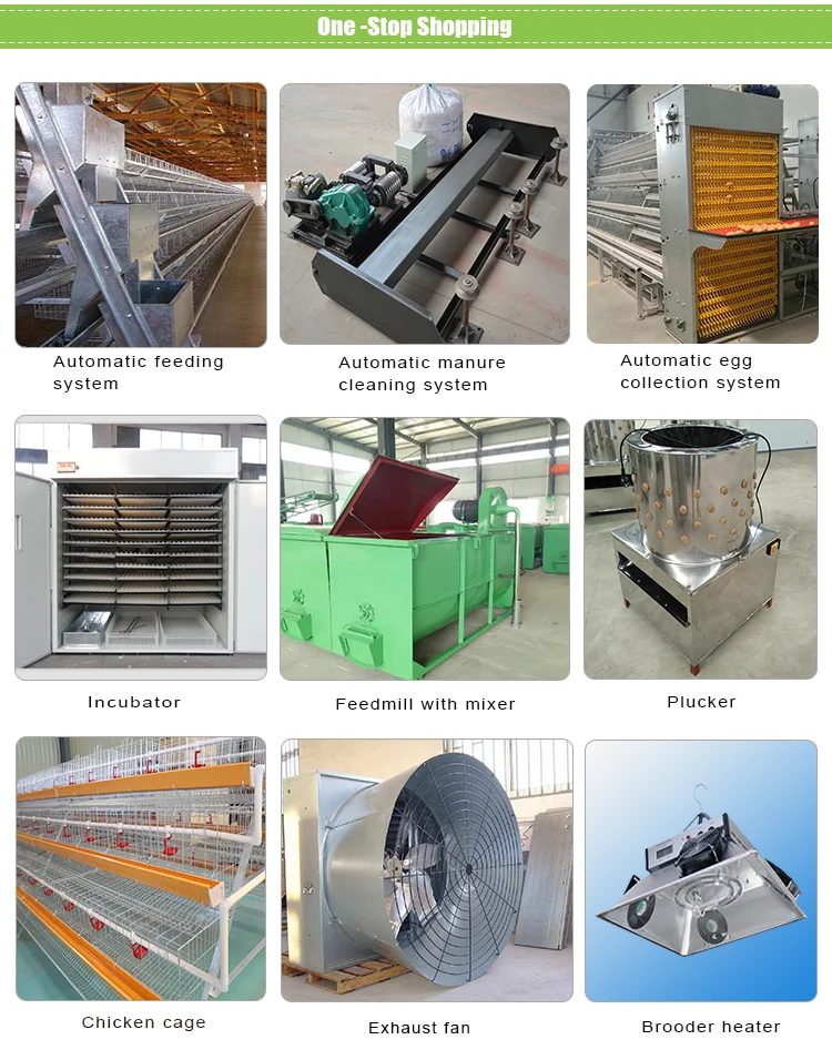 Automatic Chicken Poultry Galvanized Feed Trough - Buy Feeding Troughs ...