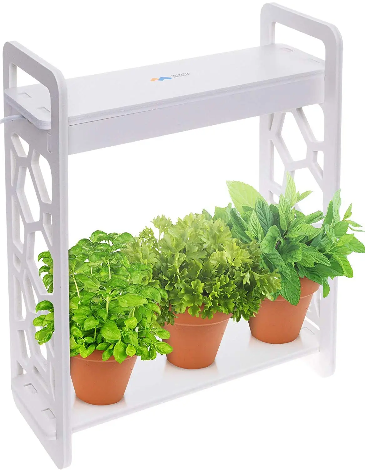 SPLANT Smart Fresh Herb Garden Kit