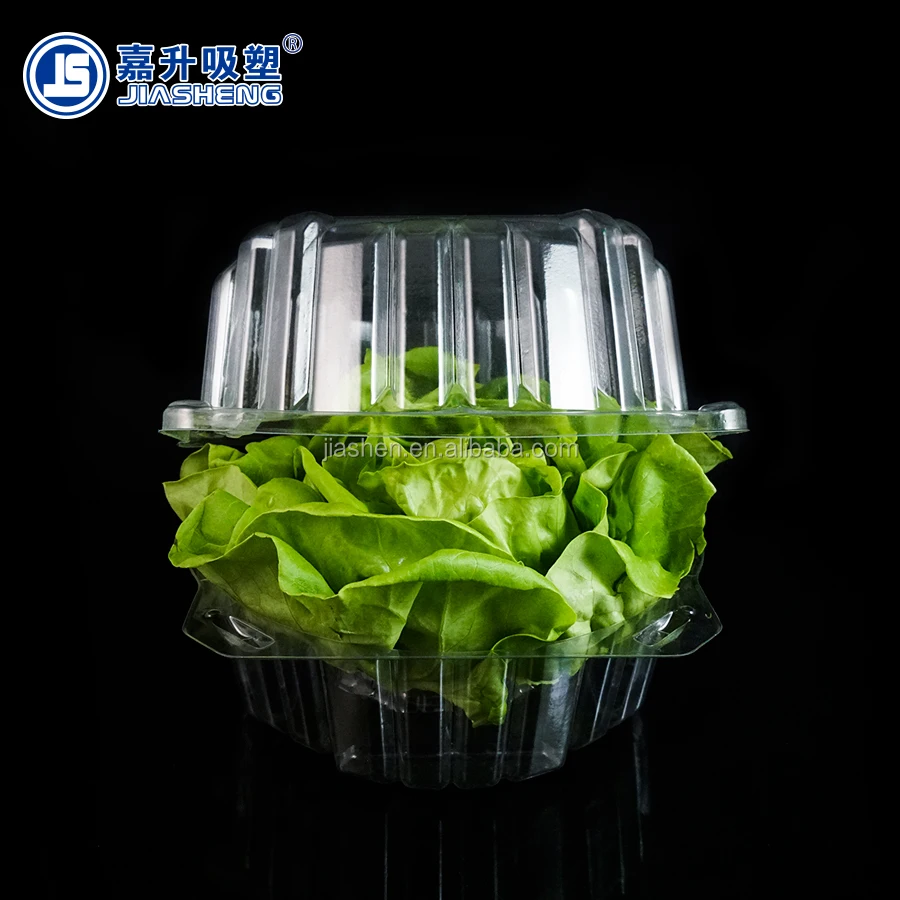 Thermoforming Food Grade Crisper Plastic Clamshell Lettuce Packaging