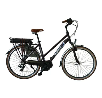 lithium battery bike price