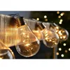 Hot sell Solar or Battery operated Christmas Glass Light Bulb String Christmas Decoration with 10-LED
