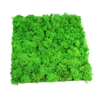 

Decorative 3d wall panels DIY Preserved Stabilized Natural Reindeer Moss Wall Panel