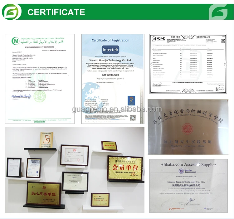 
Natural olive leaf extract CAS 32619-42-4 Oleuropein 