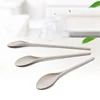 Hot Selling Rice Husk Fiber 3 Pieces Salad Spoon Set