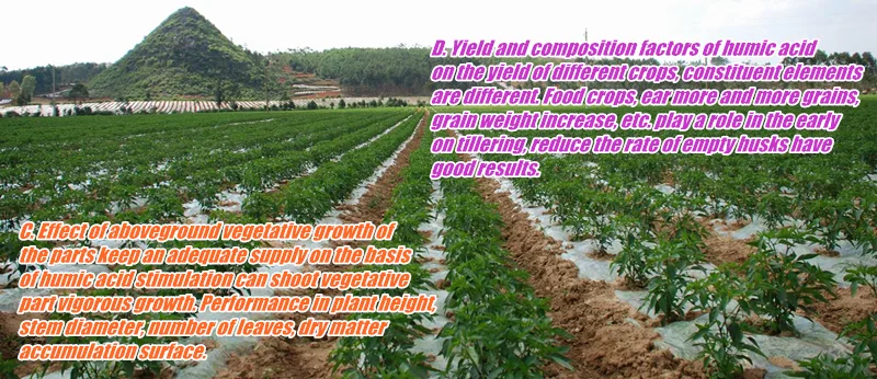 Liquid Fertilizer.png