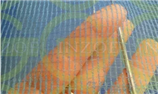 drying net (1).png