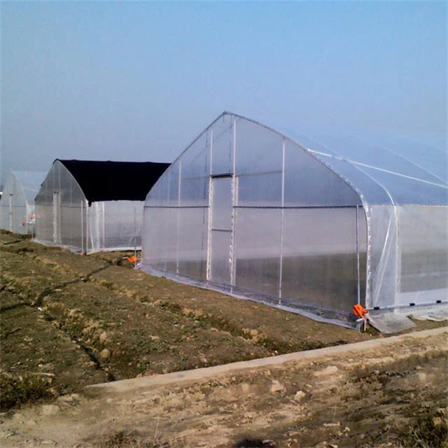 Low Cost Double Layer Plastic Arch Pipes Greenhouse Tunnel Greenhouses