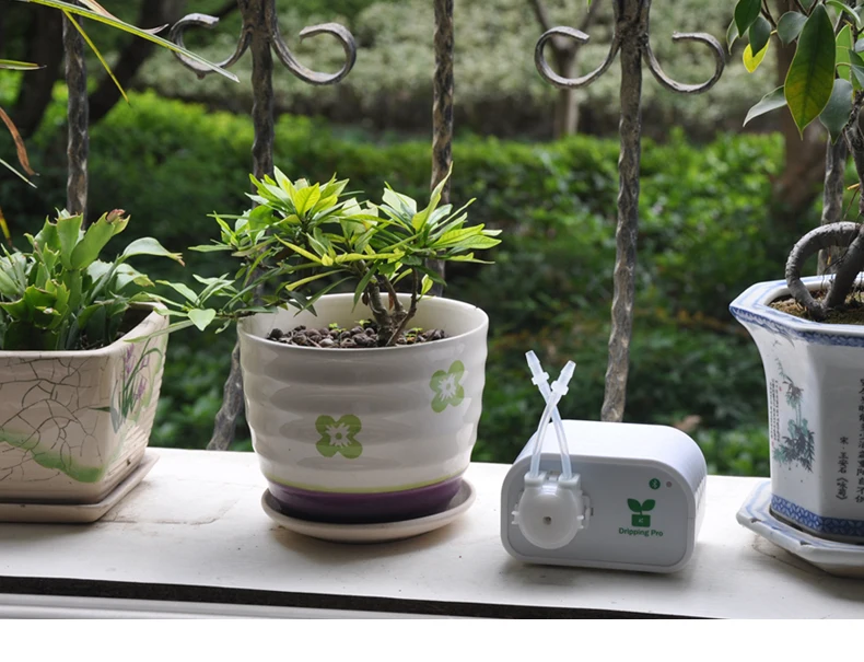 Kamoer Automatic Micro Drip Irrigation System Timing Intelligent Watering Pump