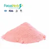 Natural Freeze Dried Cherry Powder